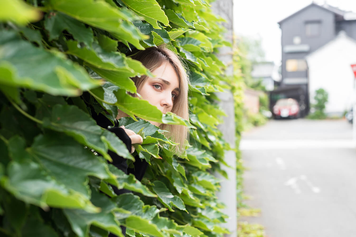 アナスタシアの写真