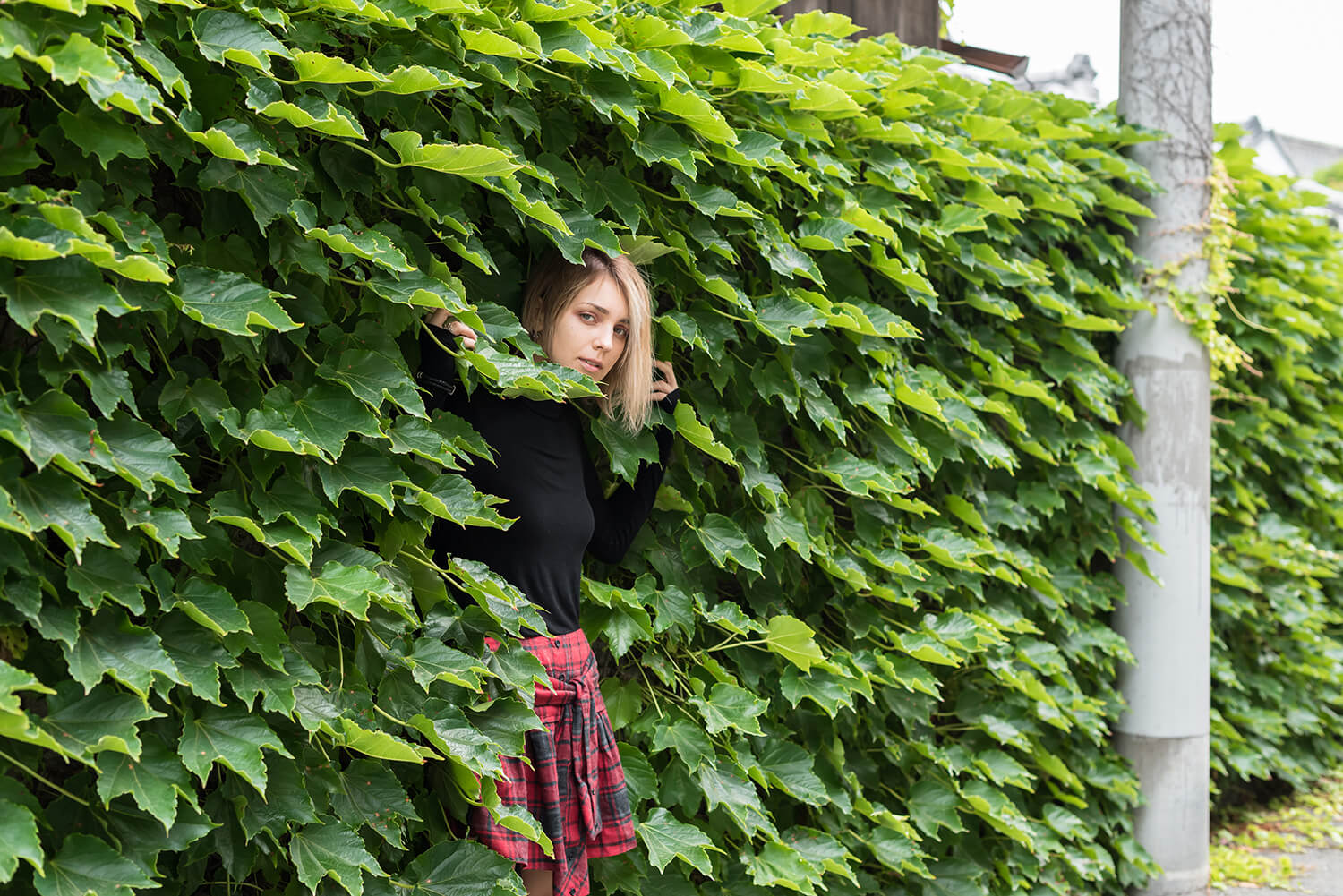 アナスタシアの写真