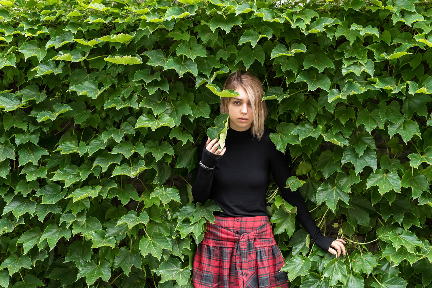 アナスタシアの写真