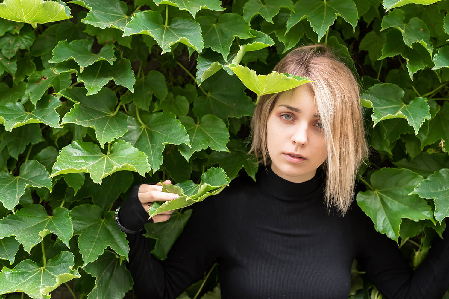 アナスタシアの写真