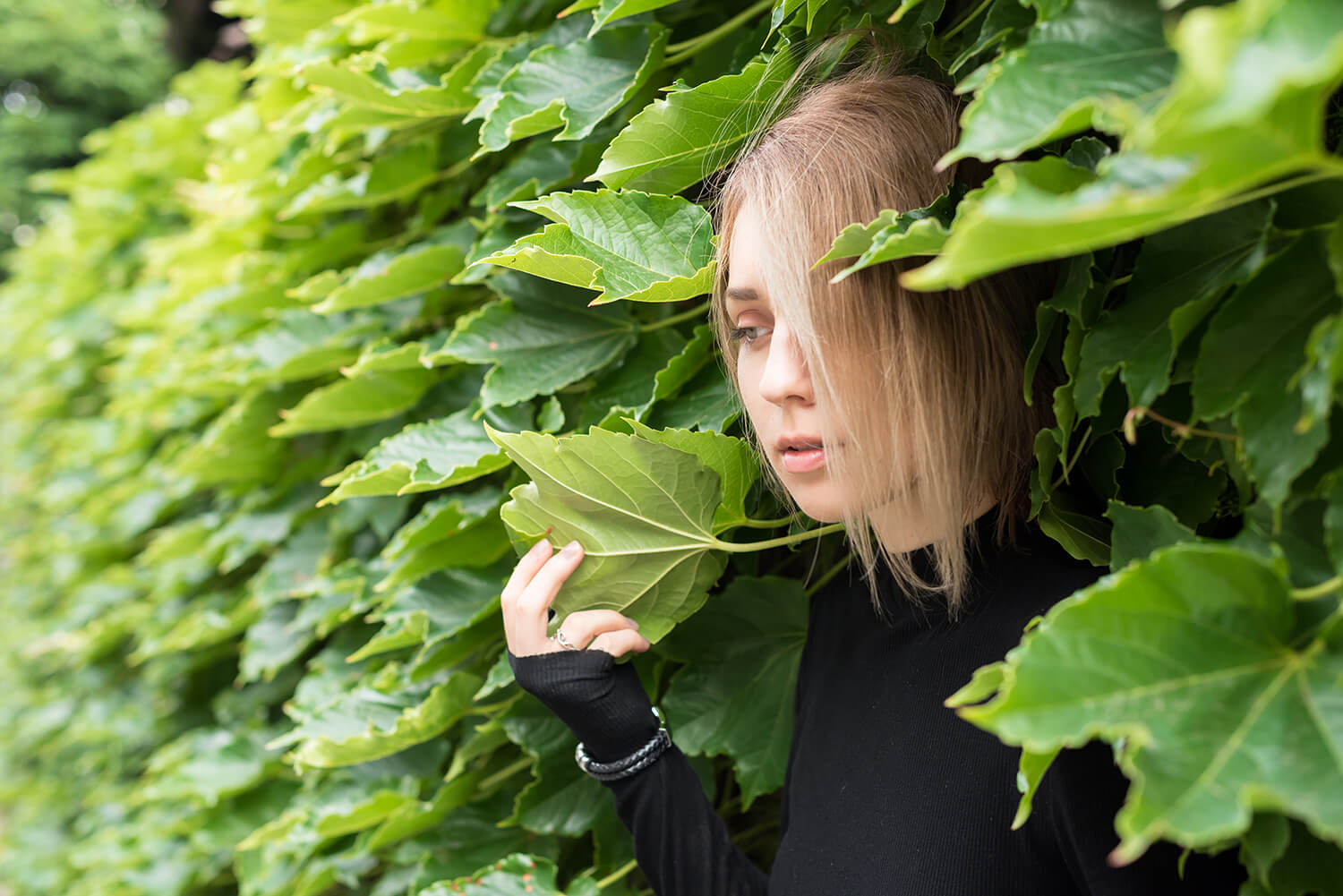 アナスタシアの写真