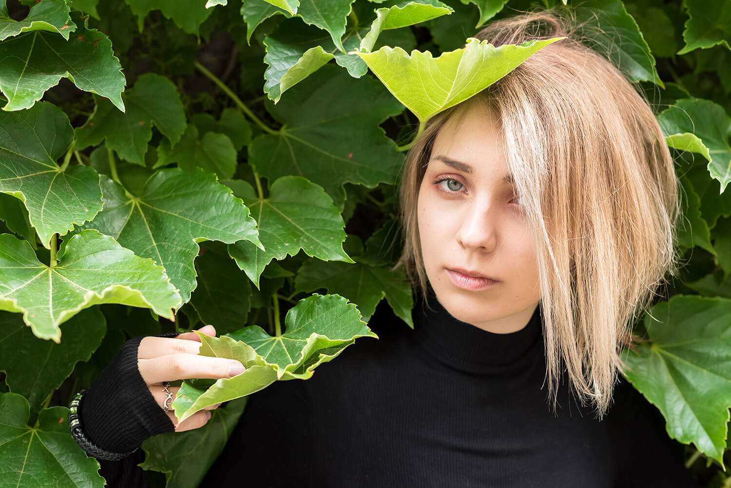 アナスタシアの写真