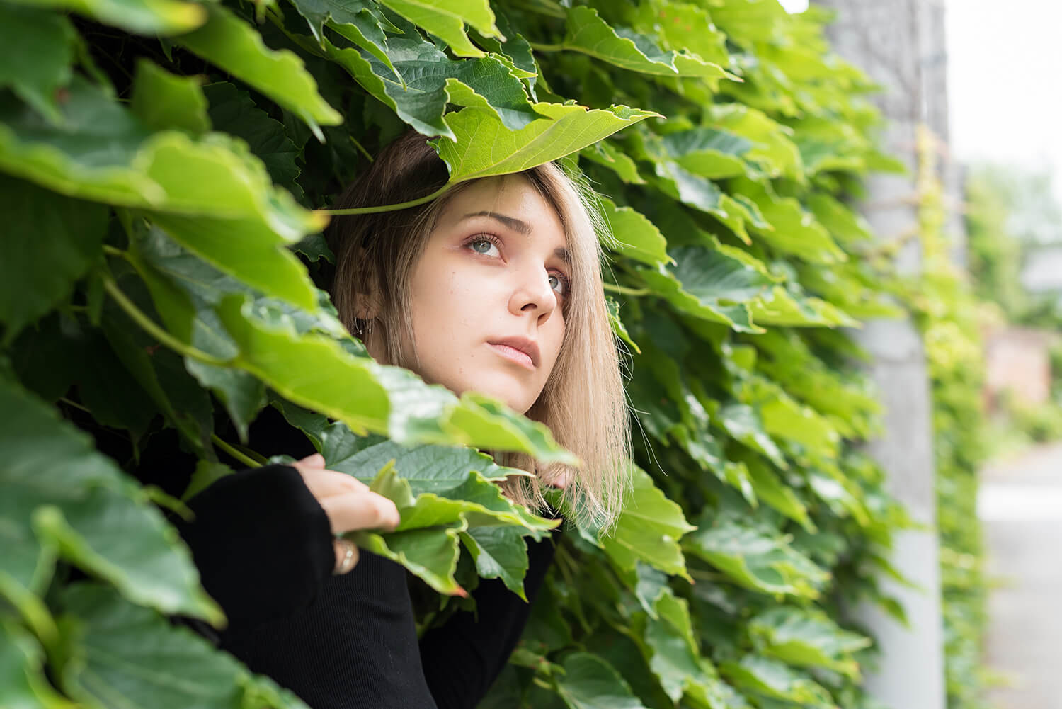 アナスタシアの写真