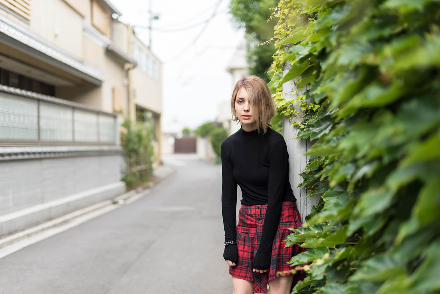 アナスタシアの写真