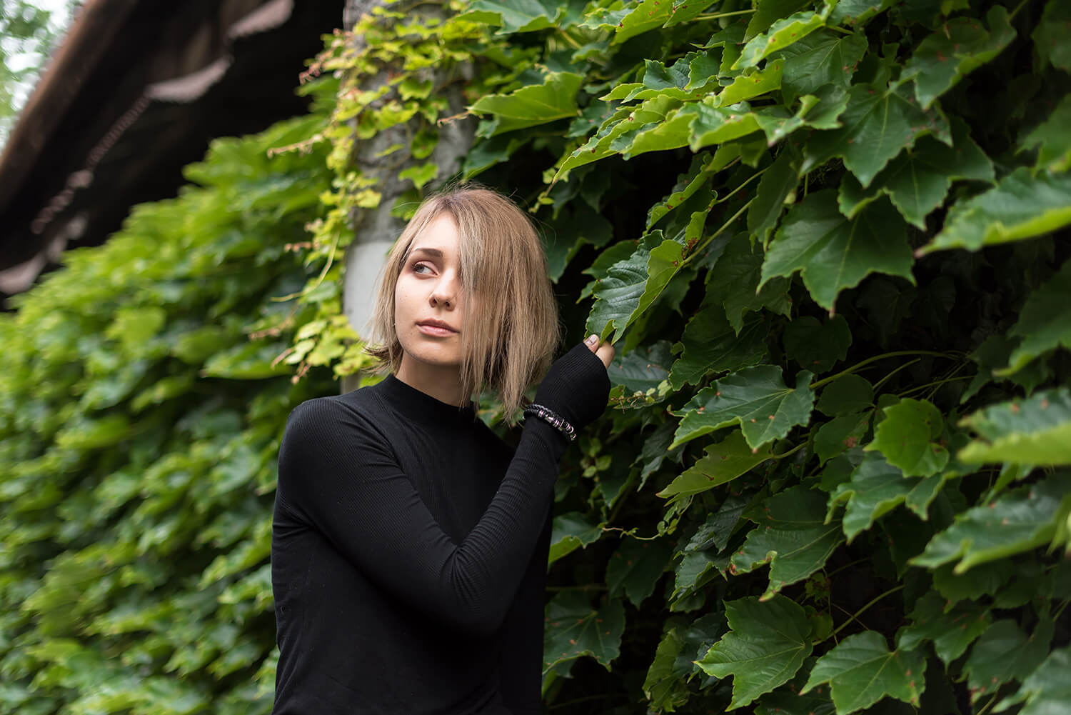 アナスタシアの写真