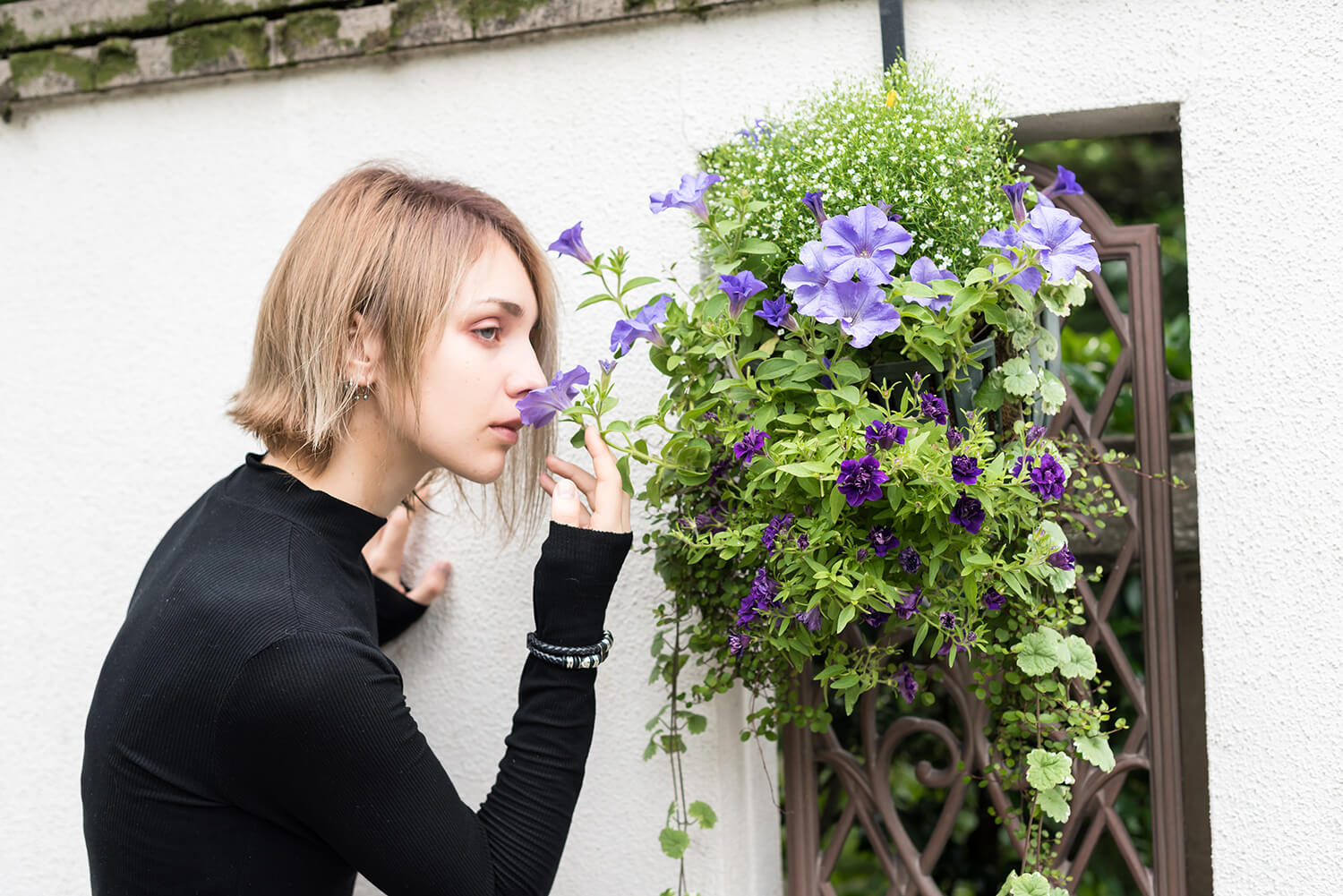 アナスタシアの写真