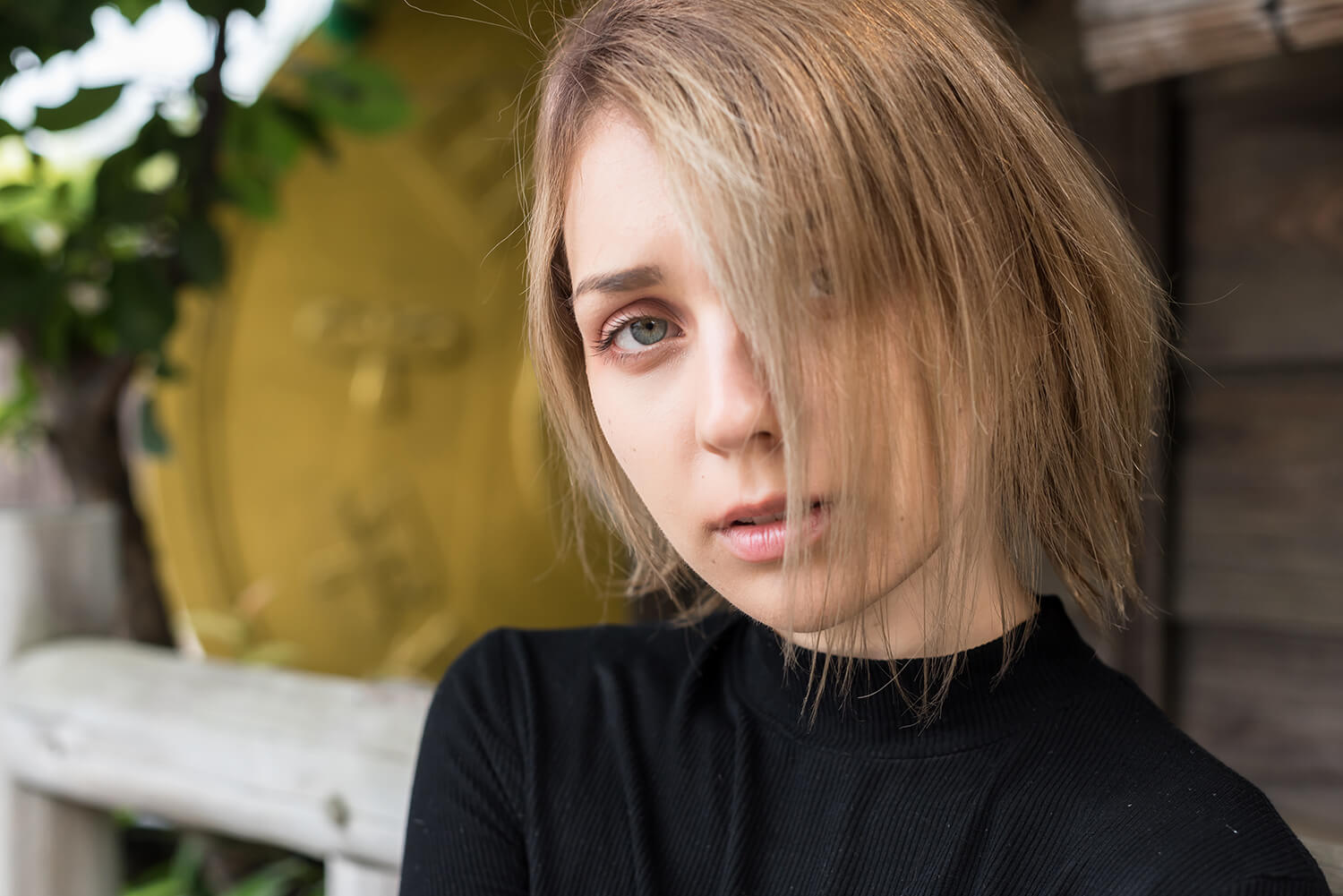 アナスタシアの写真