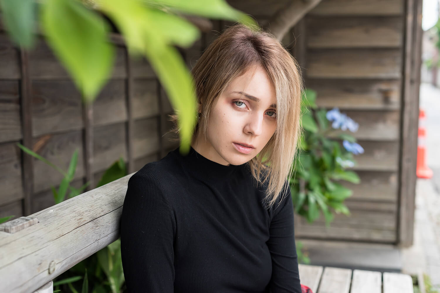 アナスタシアの写真