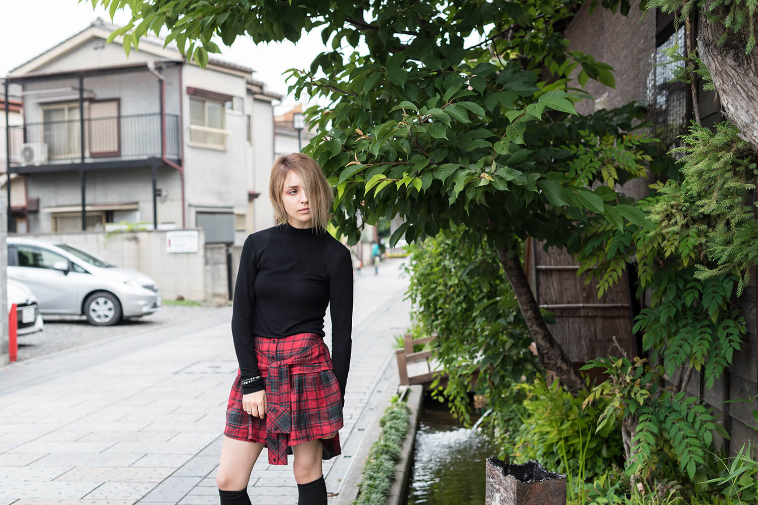 アナスタシアの写真