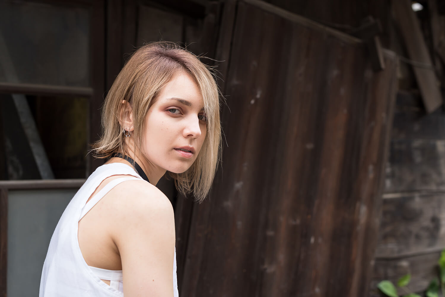 アナスタシアの写真