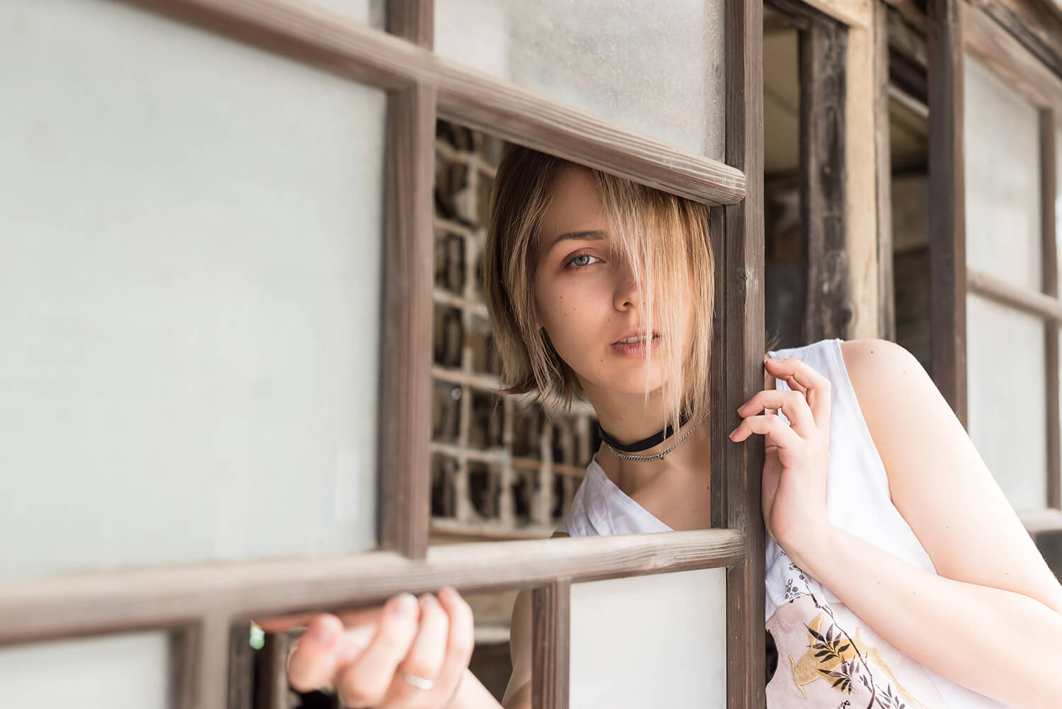 アナスタシアの写真