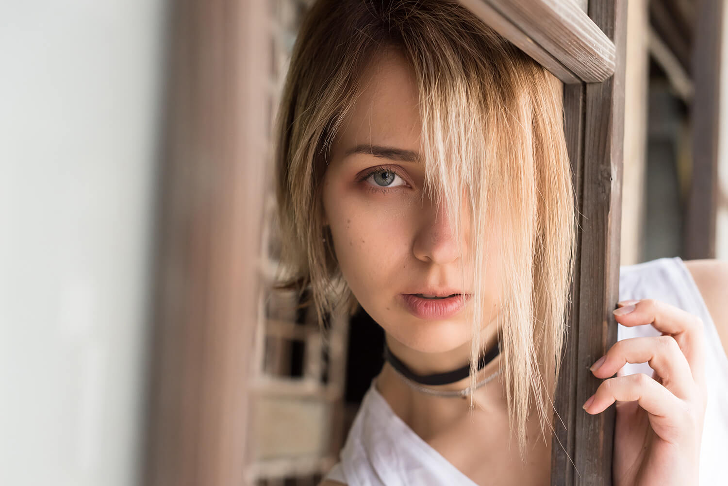 アナスタシアの写真