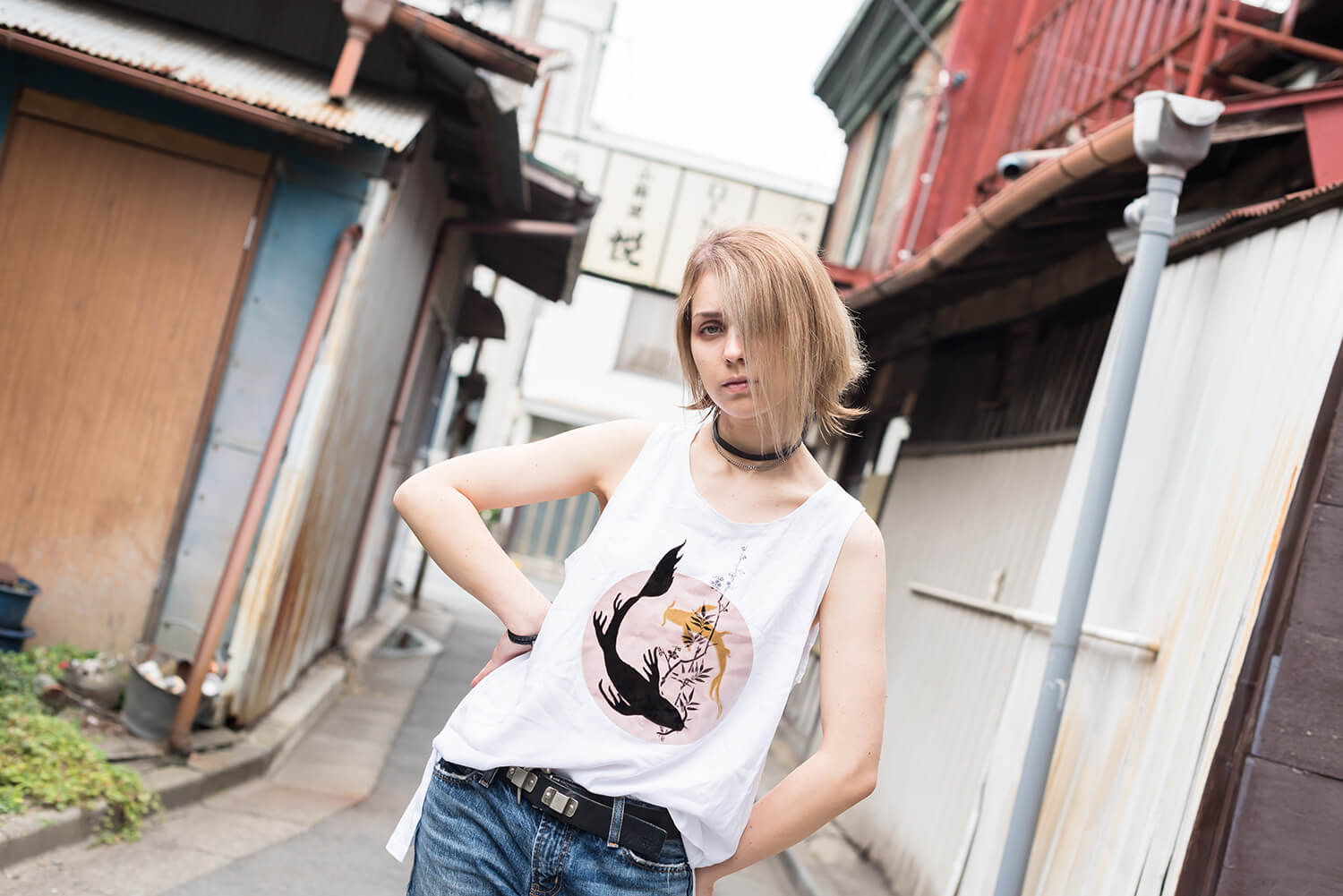 アナスタシアの写真