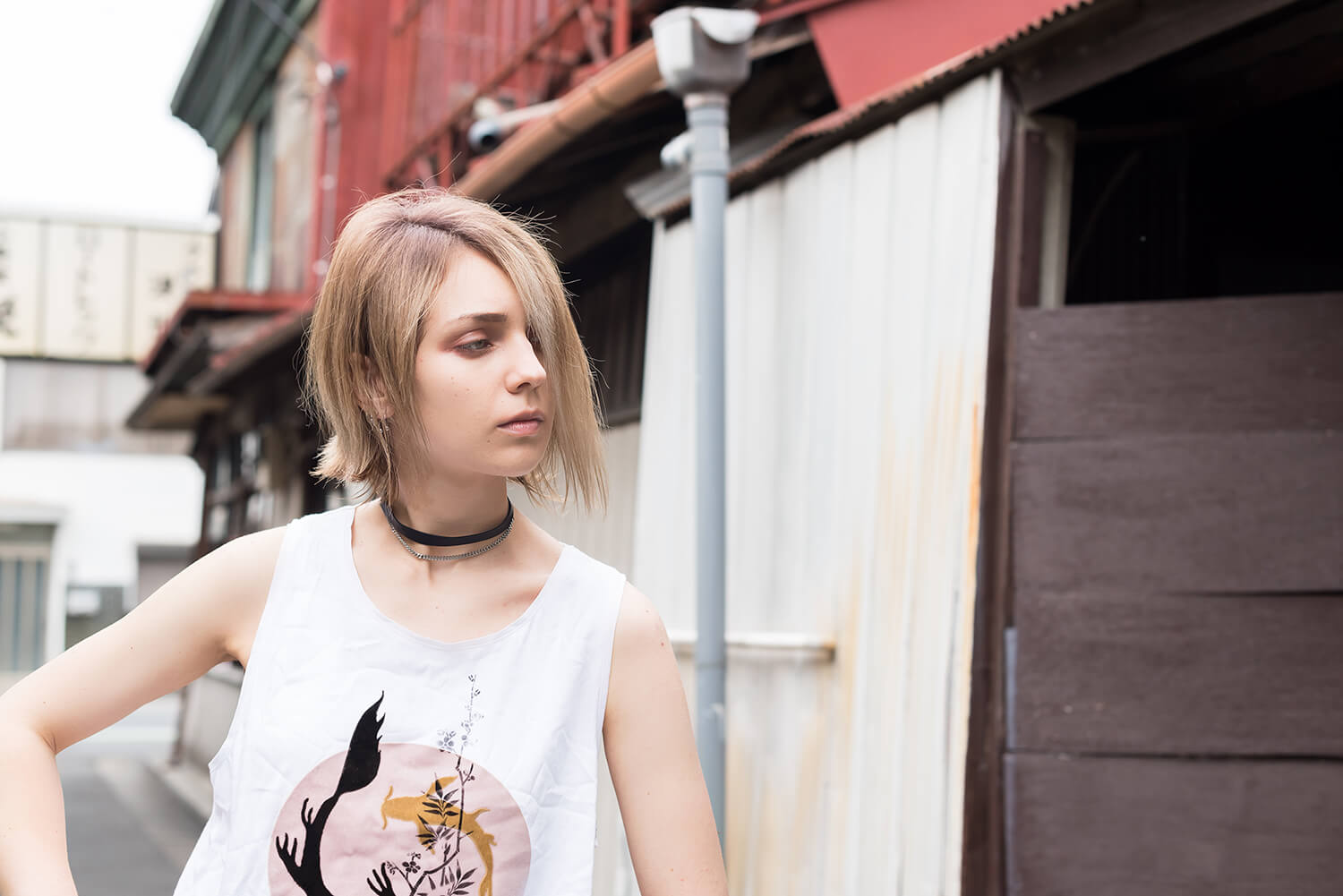 アナスタシアの写真