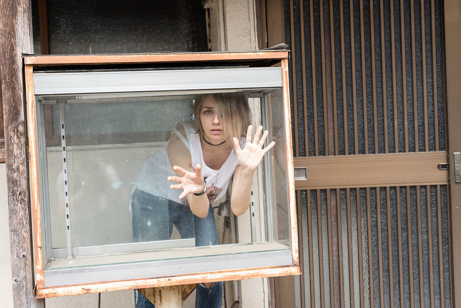 アナスタシアの写真