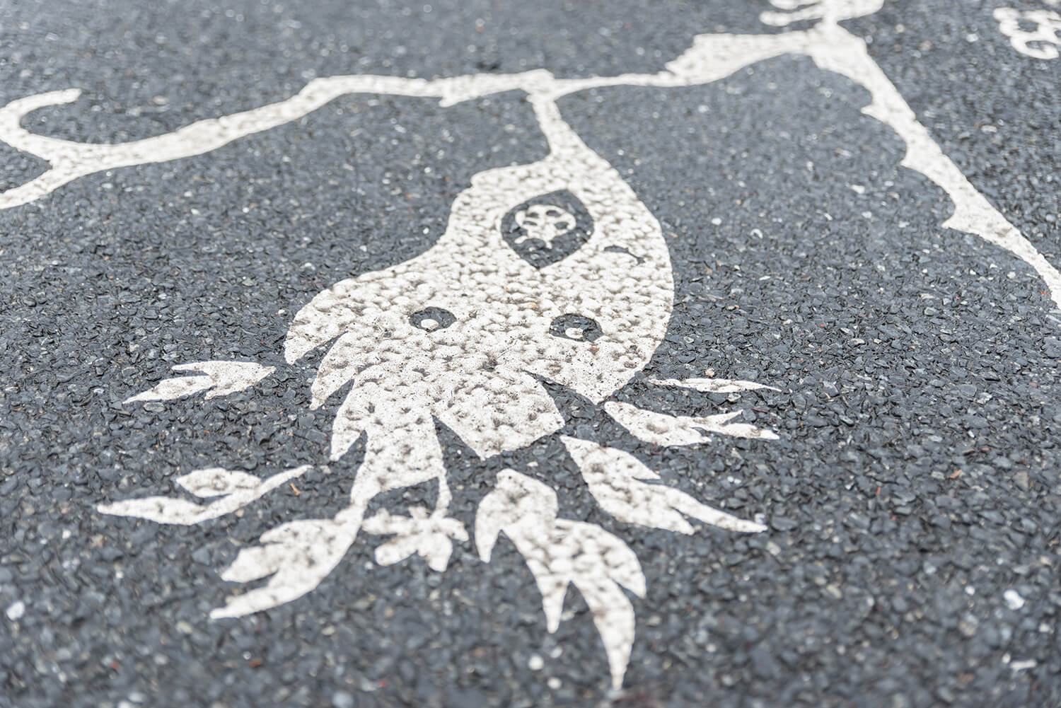 つじまこの写真