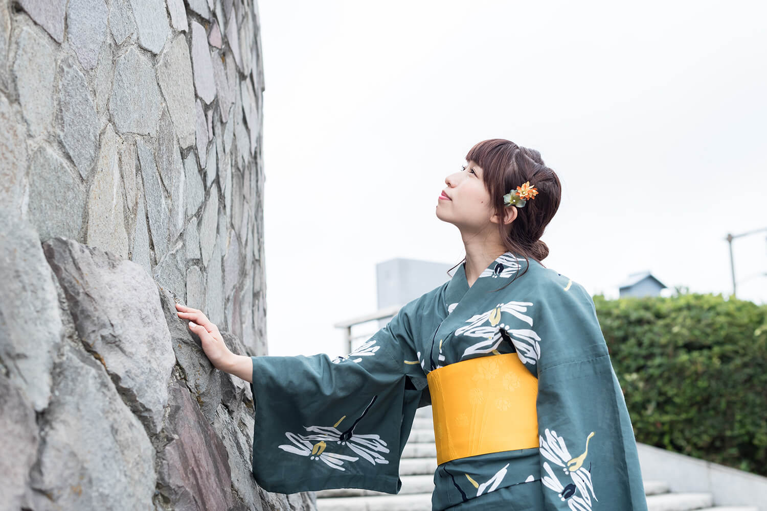 つじまこの写真