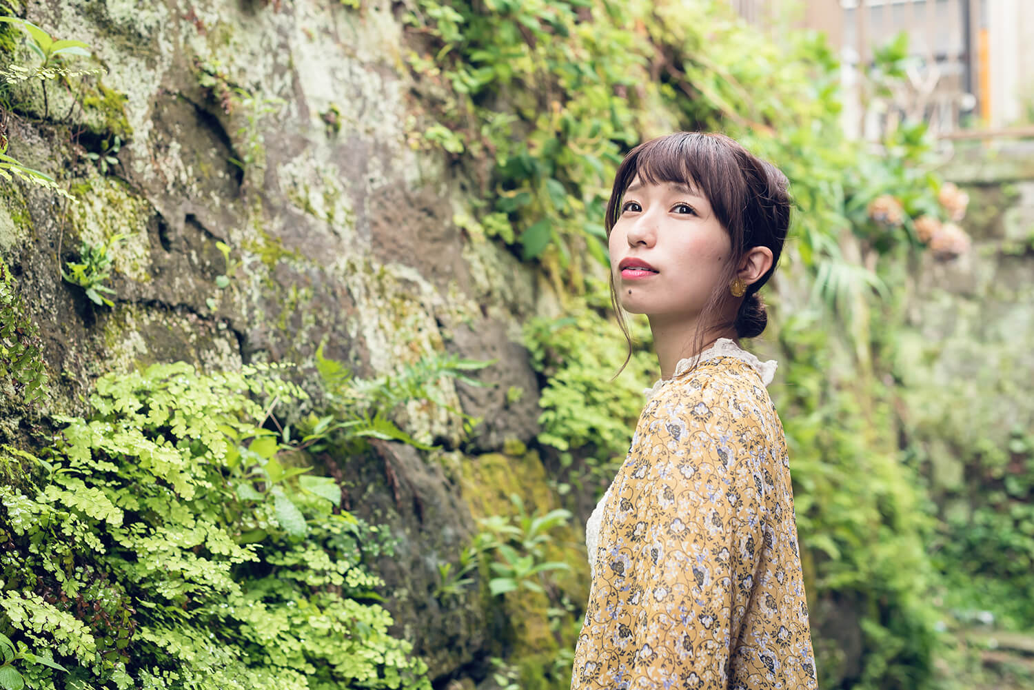 つじまこの写真