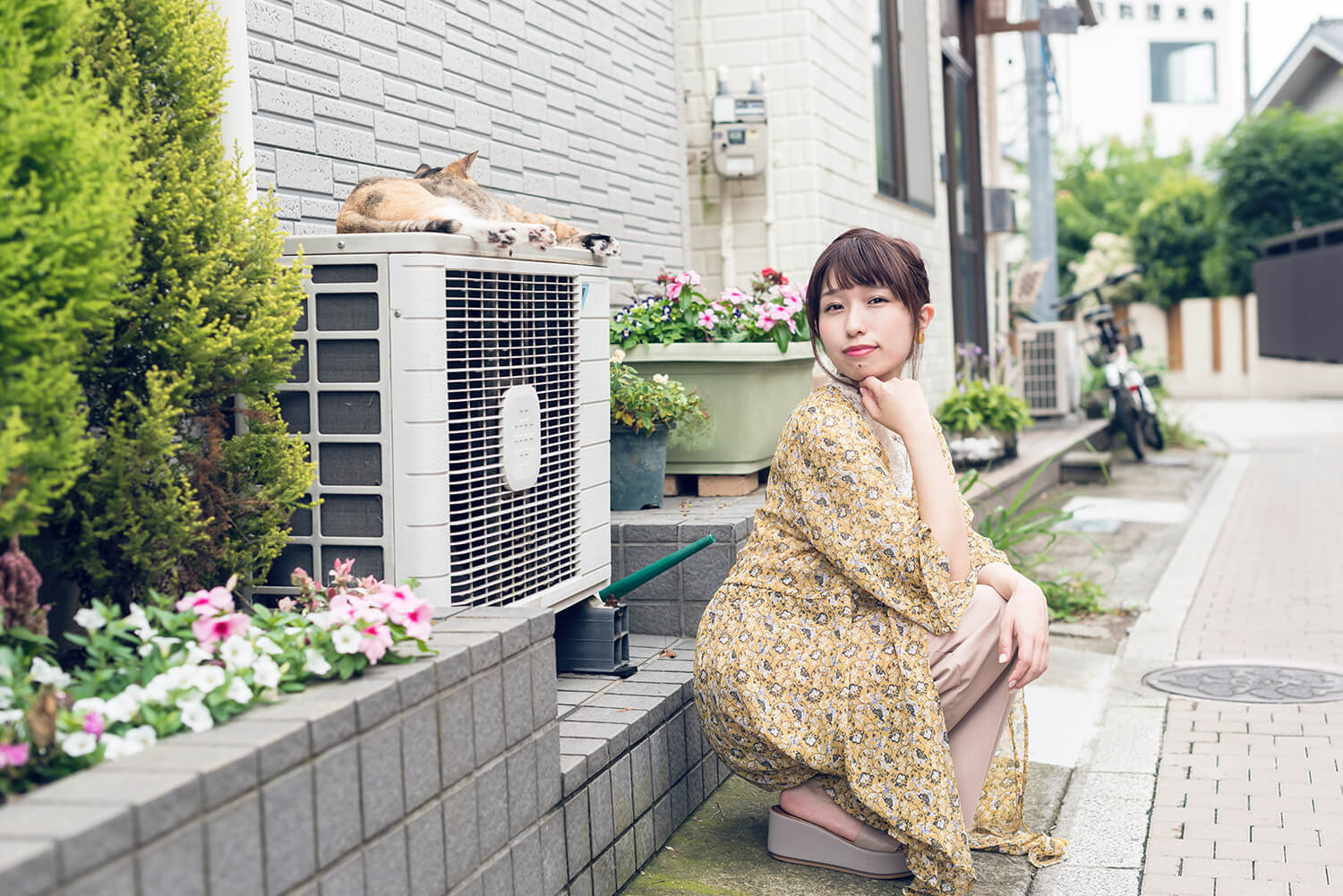 つじまこの写真