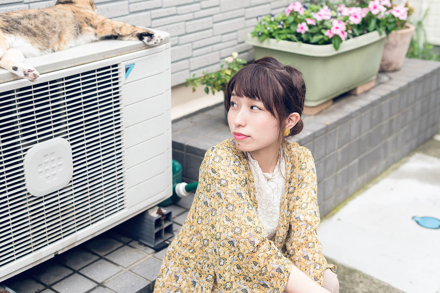 つじまこの写真