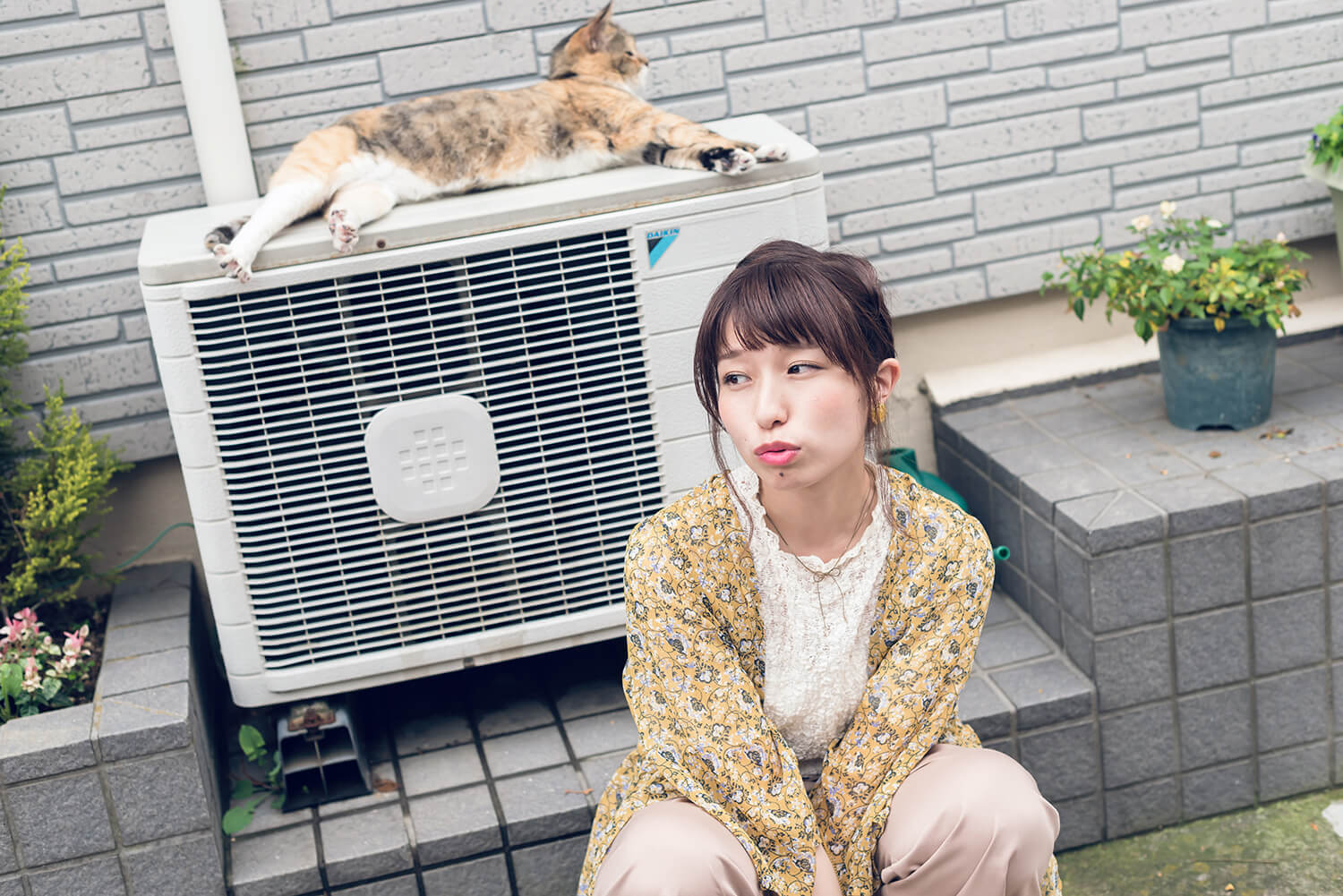 つじまこの写真