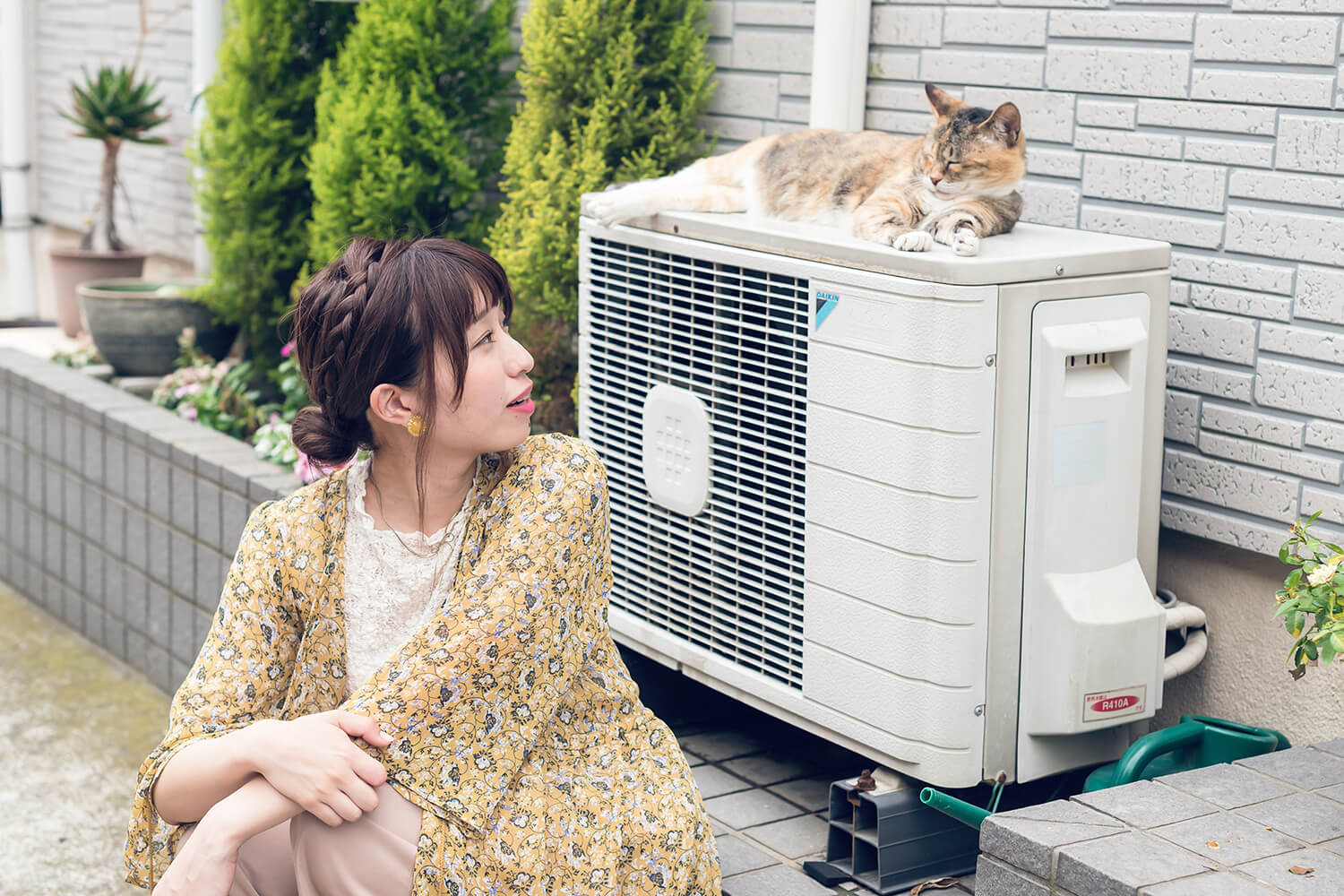 つじまこの写真