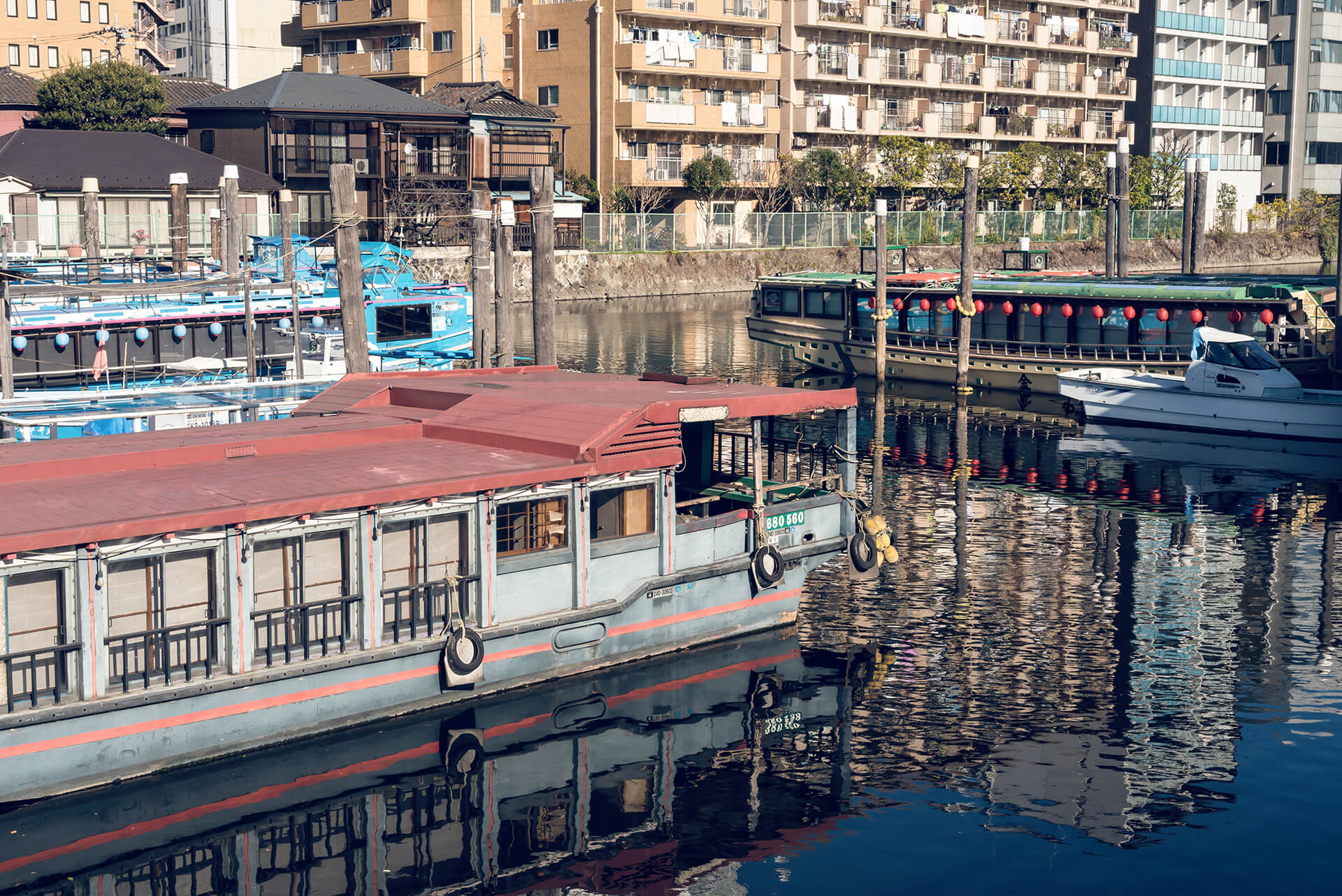 山城優月の写真