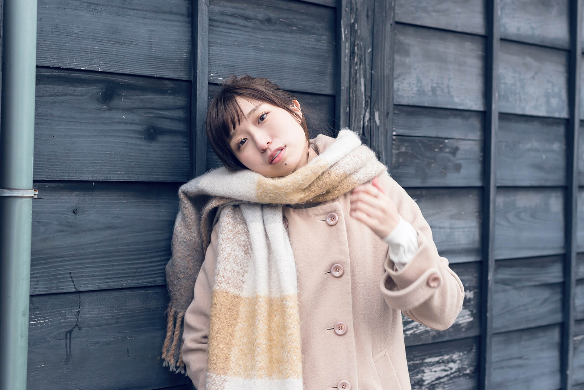 つじまこの写真