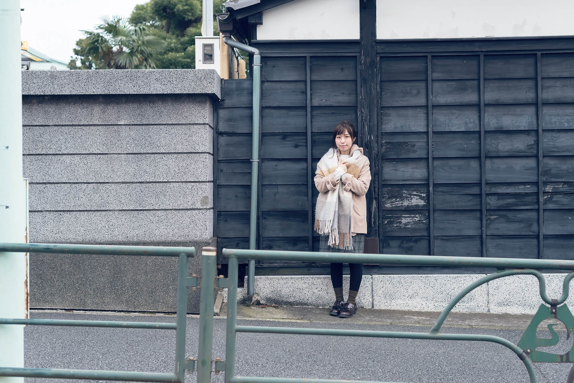 つじまこの写真