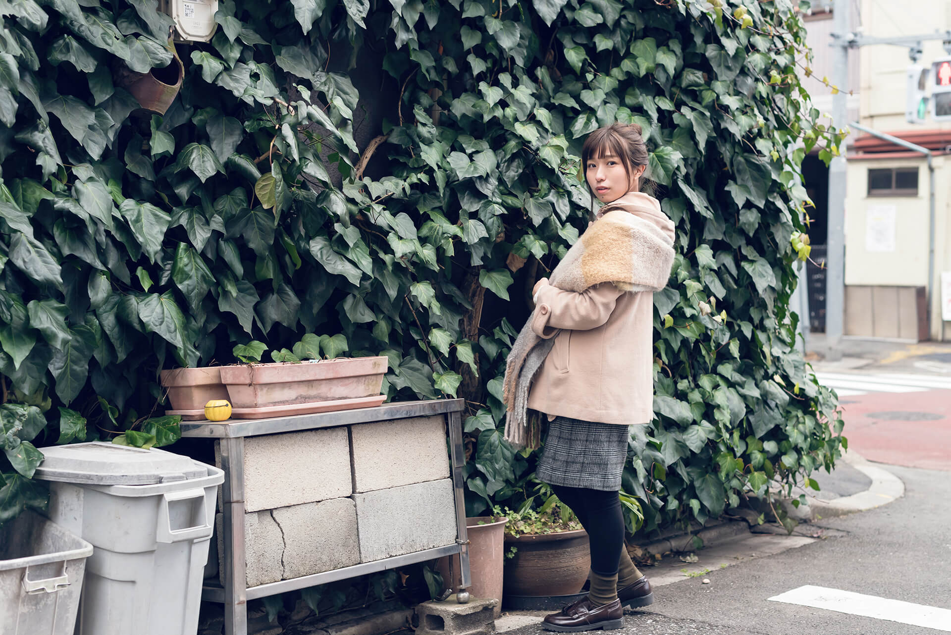 つじまこの写真