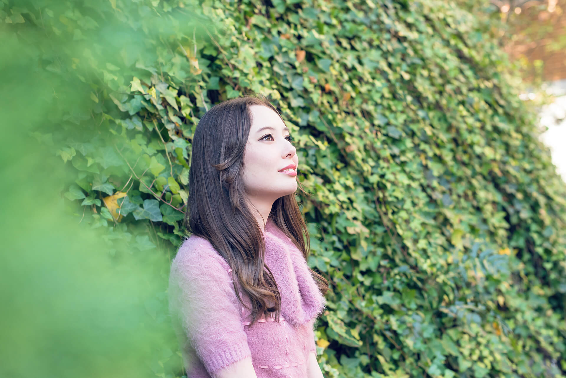 ソフィーの写真