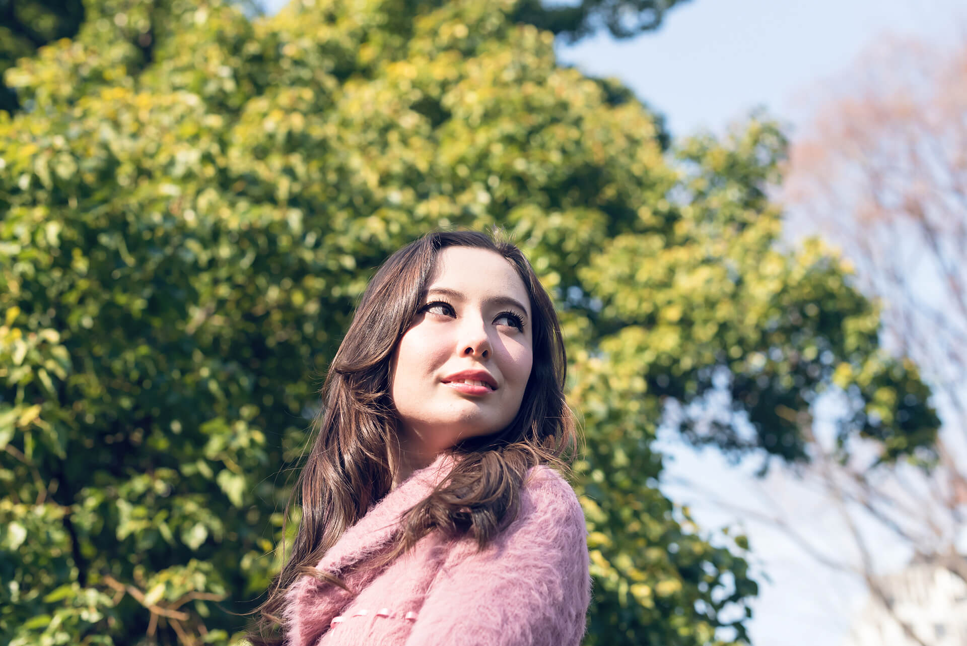 ソフィーの写真