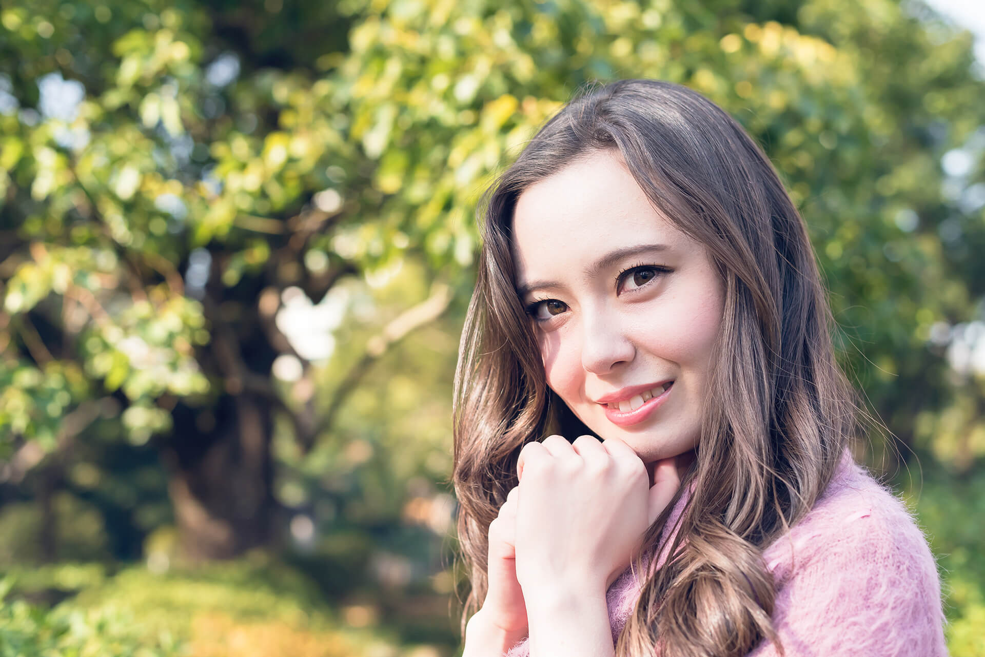 ソフィーの写真