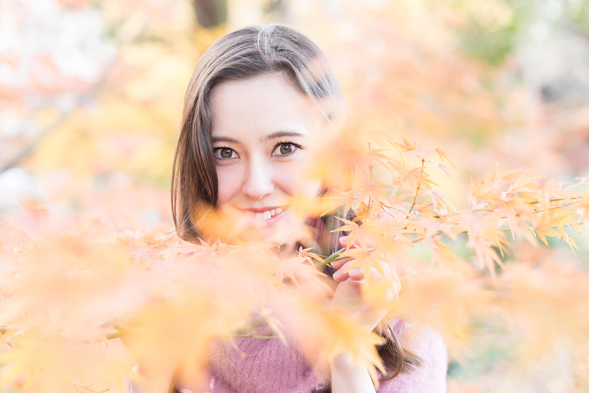 ソフィーの写真