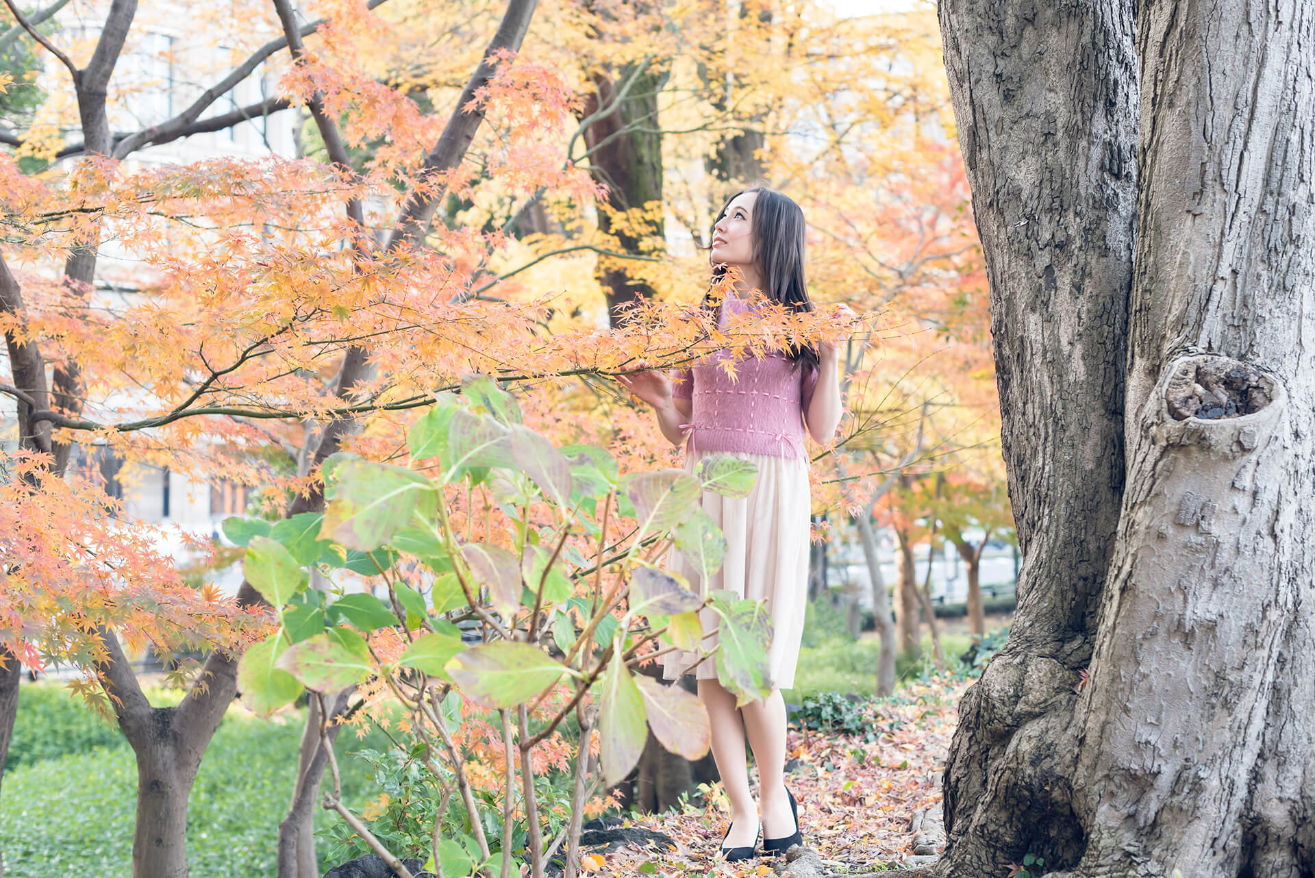 ソフィーの写真