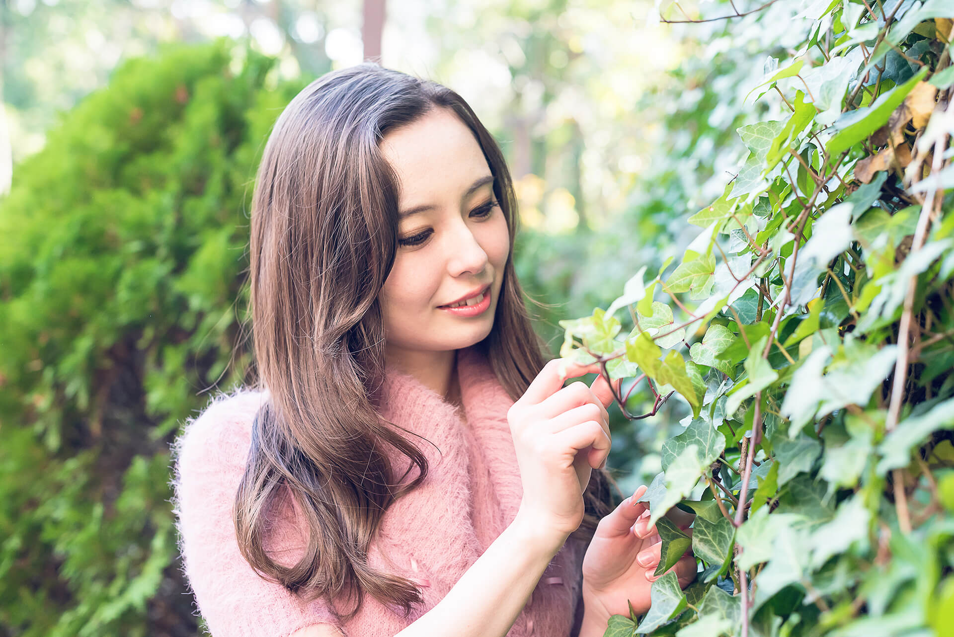 ソフィーの写真