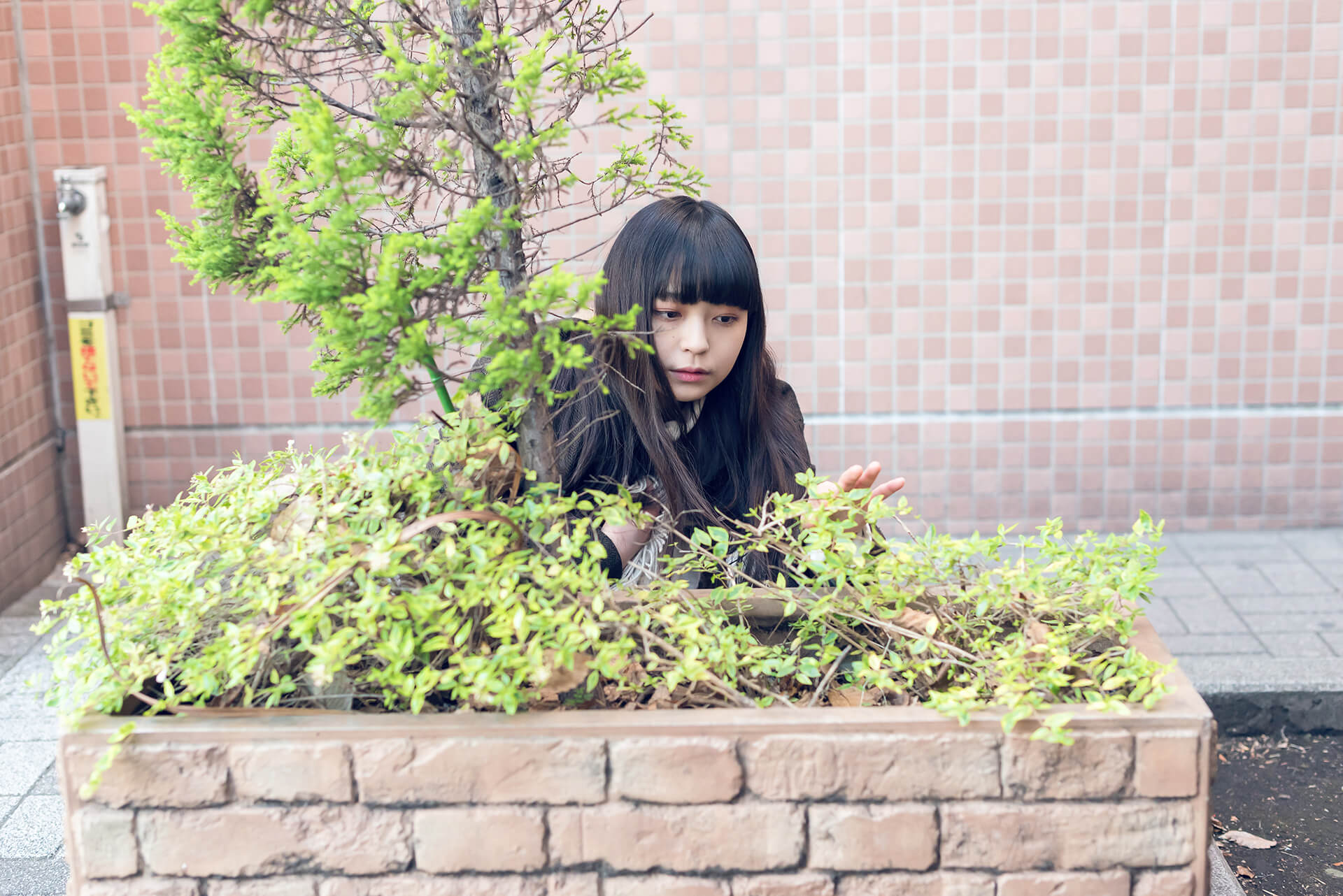 きくちゆかの写真