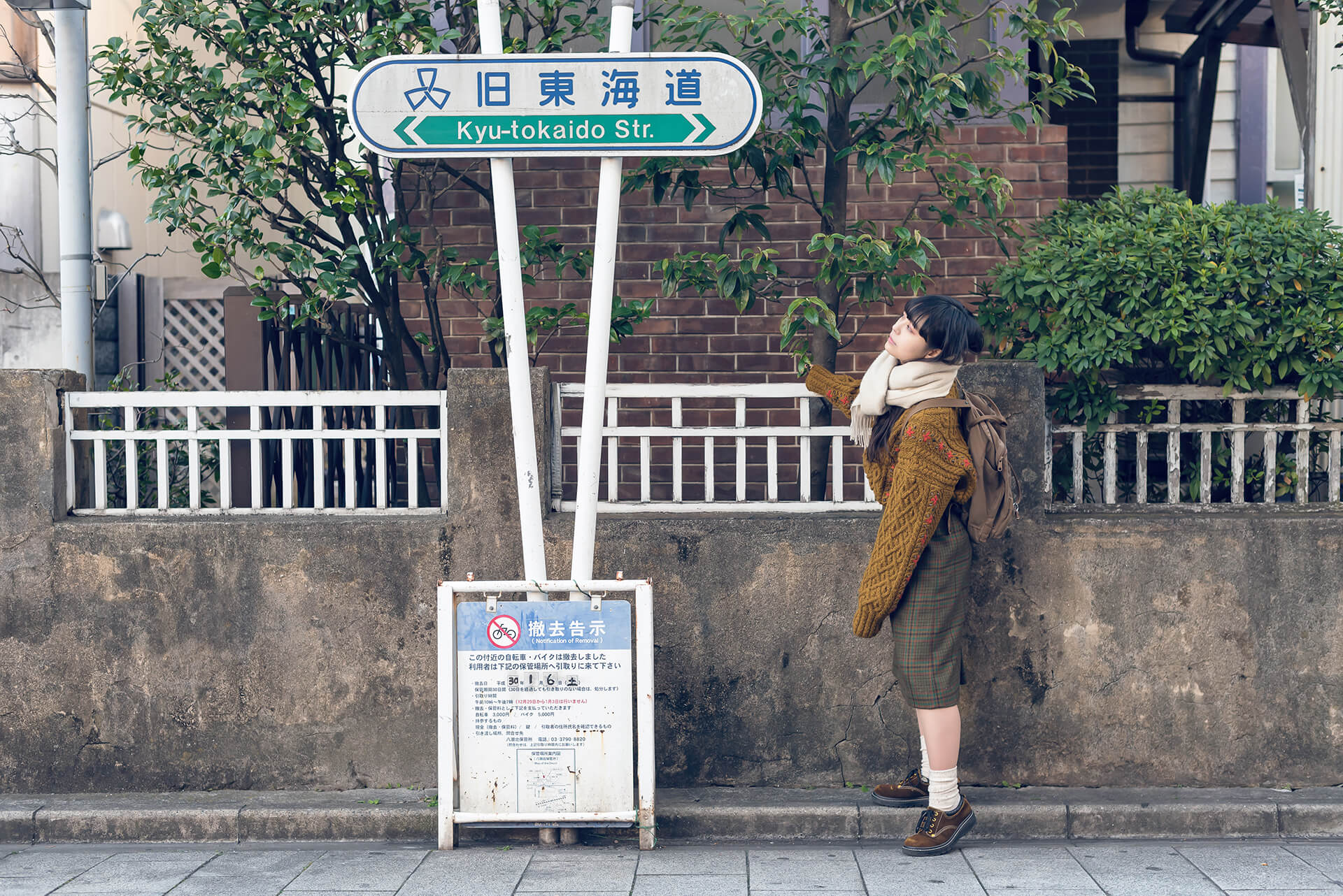 きくちゆかの写真