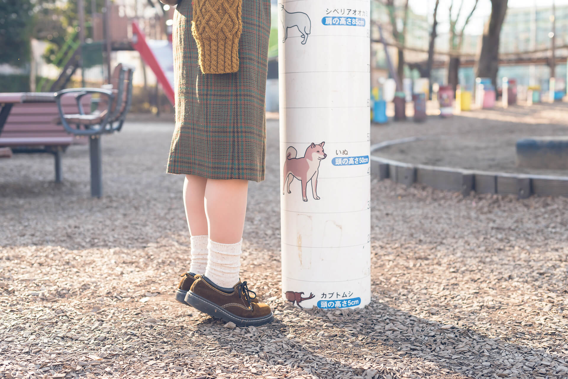 きくちゆかの写真