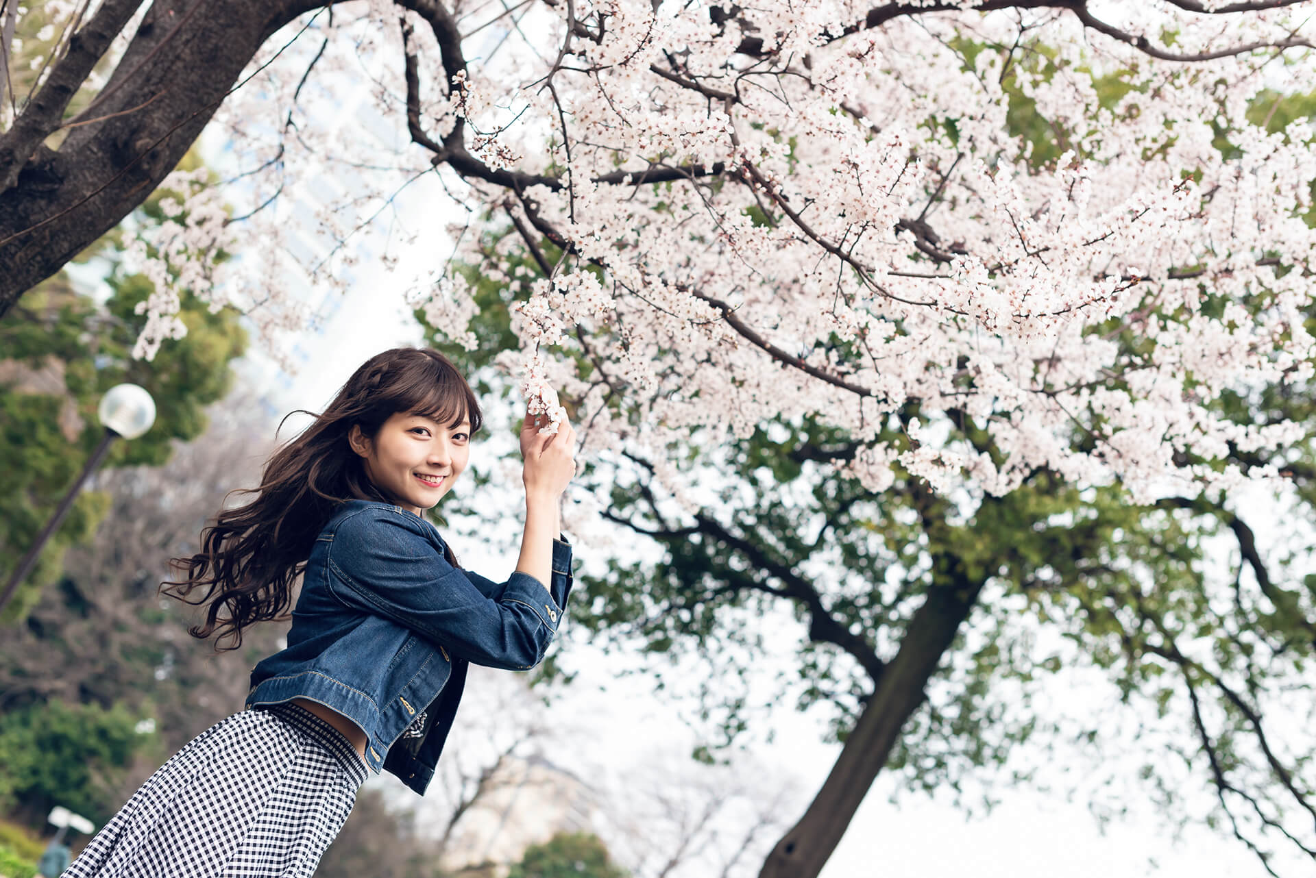 Mito ミト (バーレスク東京) の写真