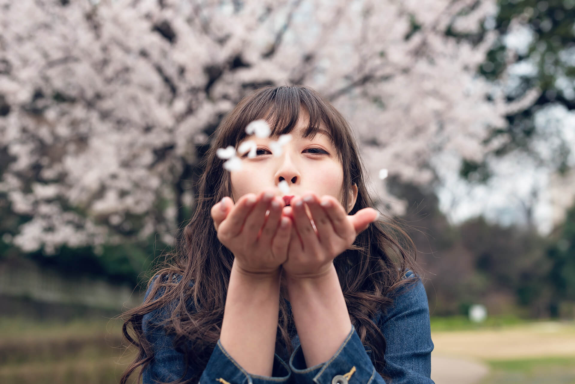 Mito ミト (バーレスク東京) の写真