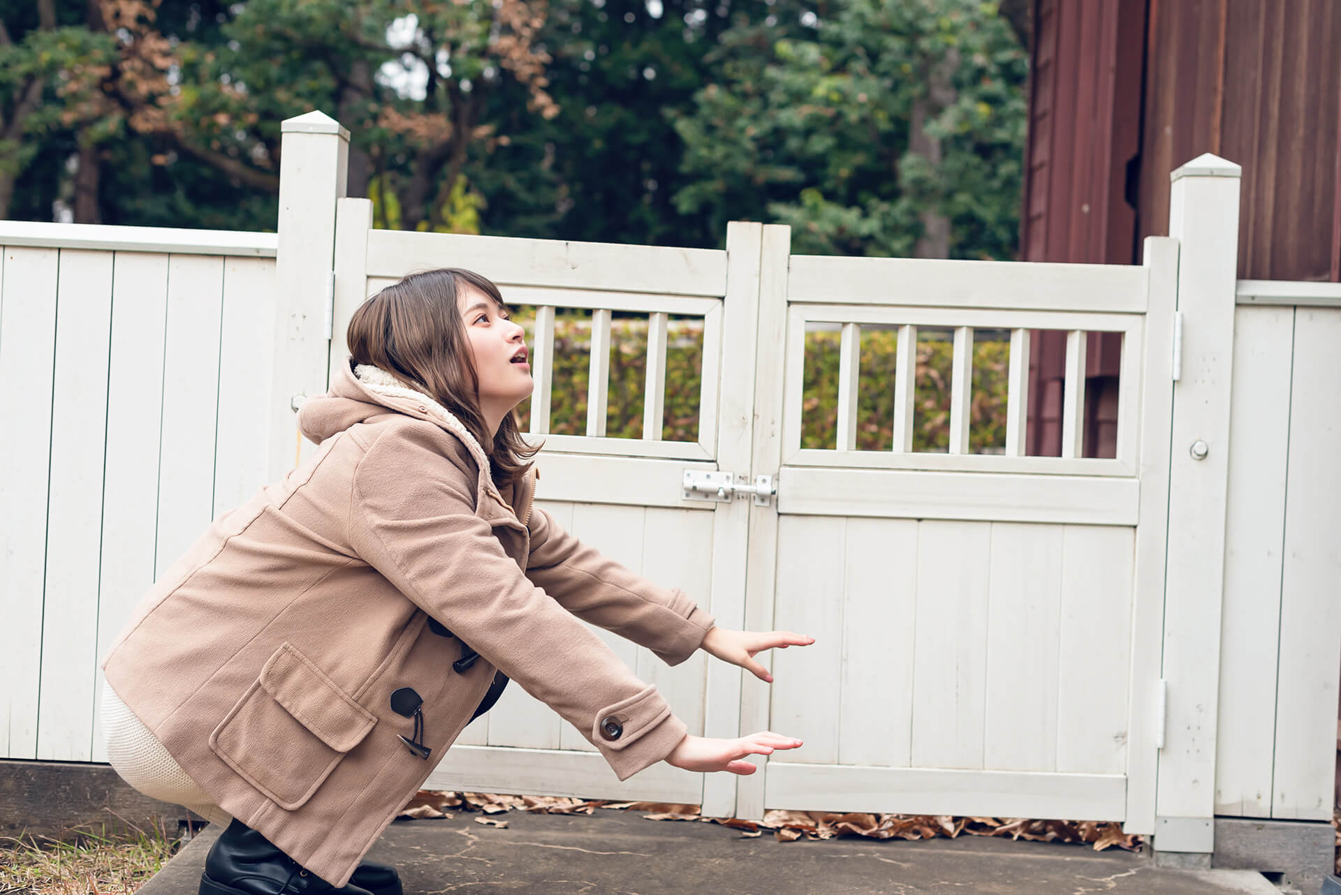 髙橋若那の写真